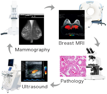 Monitor medyczny EIZO RadiForce RX560-BK